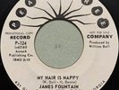 James Fountain-My Hair Is Nappy-Funk Mod Soul RARE WLP DJ Promo 45