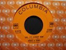 Bruce & Terry (Bruce Johnston & Terry Melcher) Rare 45– Girl, It's Alright Now