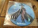 Jim Steinman - Bad For Good - LP Picture Disc (1981)