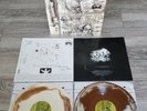 Sleepytime Gorilla Museum – In Glorious Times 2x LP (Cream&Bronze Swirl ltd.200)
