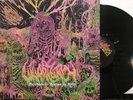 Wharflurch – Psychedelic Realms Ov Hell LP 2022 Personal Records NM/NM [Mexico]