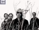 TOM PETTY & HEARTBREAKERS: ECHO (LP vinyl *BRAND NEW*.)