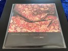RAPHAEL SAADIQ - Instant vintage 2xLP 2002 - USA Neo Soul/Contemporary R&B RARE