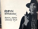 orig UK ROBYN HITCHCOCK – Black Snake Diamond Role 1981 VINYL LP SOFT BOYS Punk