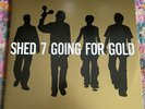 Shed 7 Going For Gold Greatest Hits Double Gold Vinyl LP Seven Britpop