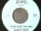 BANNY PRICE: monkey see monkey do JEWEL 7
