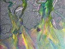 Alt J AN AWESOME WAVE (WHITE) Debut Album NEW SEALED LIMITED COLORED VINYL LP