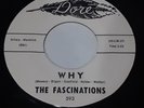 The Fascinations If I Had Your Love bw Why Rare Doo Wop Soul Dore Label Promo 45
