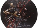 Children of Bodom Blooddrunk (Vinyl) 12