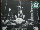 BELPHEGOR - Necrodaemon Terrorsathan - Vinyl-LP - white red splatter Vinyl