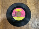 Warner Brothers Promo 45 - I Won't Be the Same Without Her - Dunwich 131 Garage