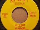 NM - THE HESITATIONS - 