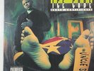 Ice Cube  Death Certificate '91 US Original Pressing Vinyl LP