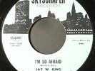 JAY W. KING: i'm so afraid / i don't have to worry SKYSCRAPER 7