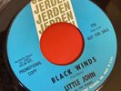 VG+ LITTLE JOHN and The MONKS .BLACK WINDS 60’s Garage Band 45 7” Original Promo