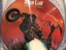 Meat Loaf Bat out of Hell Picture Disc LP EPC 11-82419 Epic