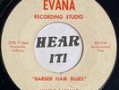 Hot IN Country Bop Rockabilly 45 WAYNE SATKAMP Barber Hair Blues EVANA rare hear