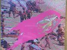 black moth super rainbow what in the rad Bad F’in Times 7” Radcult Tobacco