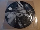 The Dwarves Blood Guts Pussy Sub Pop Pic Disc