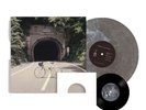 The Backseat Lovers - When We Were Friends Vinyl - Smog Colored + 7