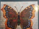 The House Of Love – The House Of Love Vinyl LP 842 293-1 EX/VG+