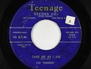 Doo-Wop R&B 45 - Demens - Take Me As I Am - Teenage - mp3
