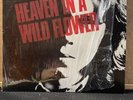 NICK DRAKE HEAVEN IN A WILD FLOWER  AN EXPLORATION NM 1985 ISLAND/ITALY PRESS