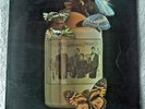 THE FAMOUS JUG BAND Sunshine Possibilities/Liberty LBS 83263 (1969) EX copy