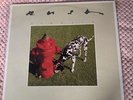 Rush ,Signals ,Vinyl Album ,1982