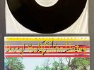 DARYL HALL+JOHN OATES Abandoned Luncheonette MFSL LP NM MoFi Audiophile RARE