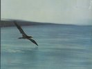 ECM 1022 Chick Corea, Return To Forever SEALED LP