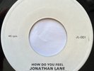 JONATHAN LANE - How Do You Feel - RARE CANADA QUEBEC PRIVATE PRESS FOLK POP 45