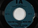 Garage Psych 45 - Thirteenth Floor Elevators - You're Gonna Miss Me - IA - mp3
