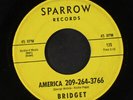 BRIDGET: america 209-264-3766 / little boy SPARROW 7