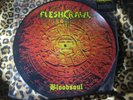 FLESHCRAWL bloodsoul VINYL PIC LP  morgoth crematory