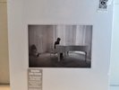 JOHN LENNON - IMAGINE 40th Anniversary NEW box Set 180gm LP, White Vinyl 12