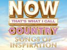 Now Country: Songs Of Inspiration VARIOUS ARTISTS New Sealed Black Vinyl 2 LP