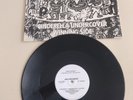 oingo boingo cinderella undercover 12 inch single vinyl record winning side