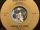 MANDELLS Arizona Doowop 45 Smart #323 Darling (I'm Home) b/w Who Me