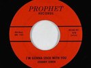 Teen Rocker 45 - Johnny Lewin - I'm Gonna Stick With You - Prophet - mp3