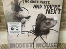 MODEST MOUSE NO ONE’S FIRST AND YOU’RE NEXT LP RECORD ALBUM INDIE ROCK EPIC MINT
