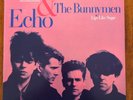 Echo & The Bunnymen 