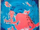 Hammerbox Self Titled Debut Album 1991 - AUTOGRAPHED Carrie Akre