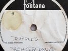 Spencer Davis Group,10