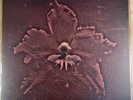 Machine Head - The Burning Red (Record, 2018) Vinyl, LP, Album