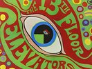 Psychedelic Sounds of by The 13th Floor Elevators (Record, 2014)