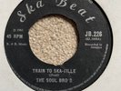 Soul Bro's Train to Skaville / Wailers I Made a mistake 7