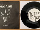 AFTER DARK - 'EVIL WOMAN' rare NWOBHM 7