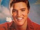 ELVIS - FOR LP FANS ONLY / RCA VICTOR LPM-1990