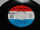 The Montanas - I'm Gonna Change - Independence 87 - soul /  M- vinyl  / LISTEN